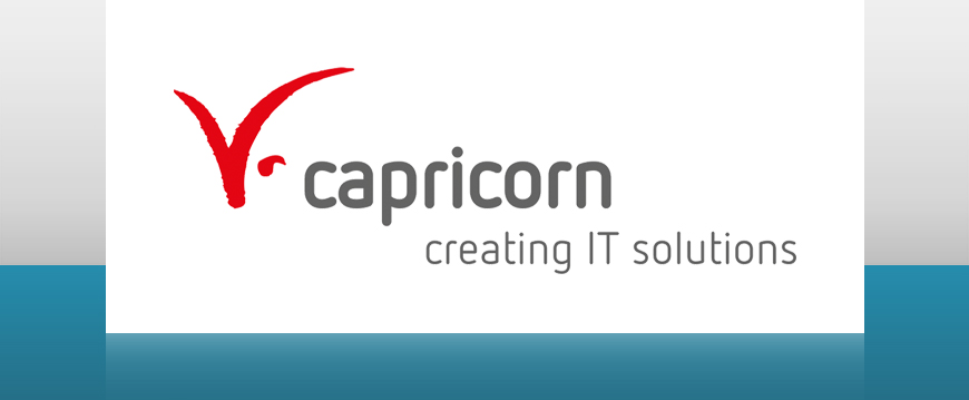 capricorn Consulting GmbH