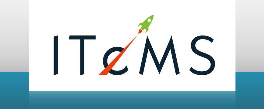 IT economical Management Service GmbH