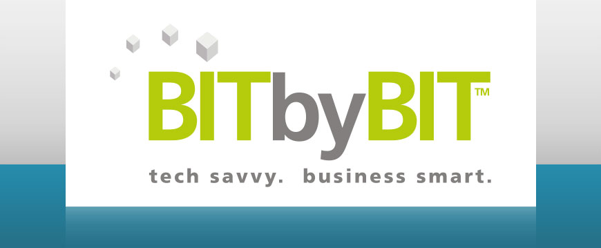 BIT by BIT Computer Consulting – USA